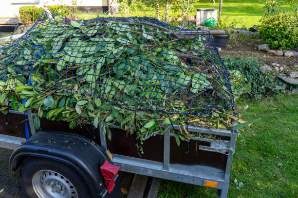 Best Hoarding Cleanup  in Crystal Lakes, OH